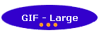 GIF - Large